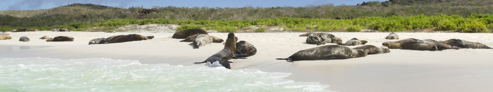 Escorted Tours Ecuador and the Galapagos Islands