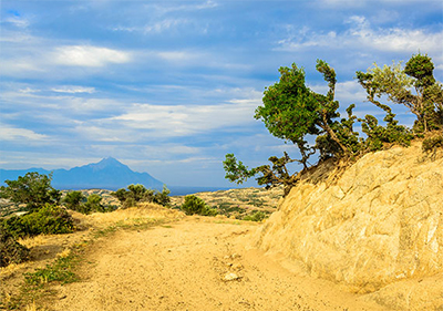 Halkidiki