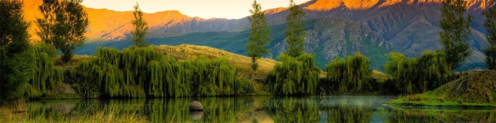 Discover New Zealand