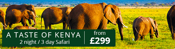 Kenya Holidays