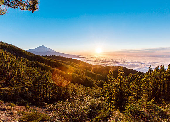 Tenerife Holidays