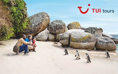 Tui Tours